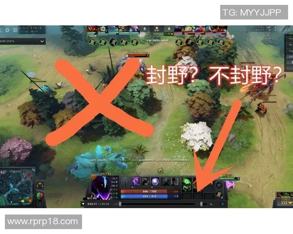 JDG边路渗透策略分析及其在DOTA2比赛中的成败得失